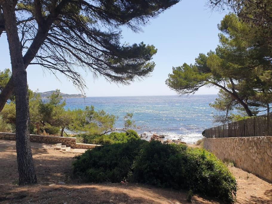 Les Geraniums, Bel Appartement Renove, Proche Plage Et Commerces La Seyne-sur-Mer Kültér fotó
