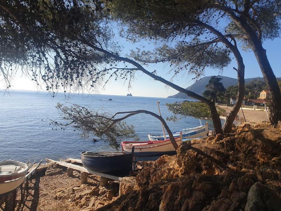 Les Geraniums, Bel Appartement Renove, Proche Plage Et Commerces La Seyne-sur-Mer Kültér fotó